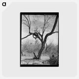 アートポストカード-Tire Swing, Harlingen
 - ラッセル リー Postcard.
