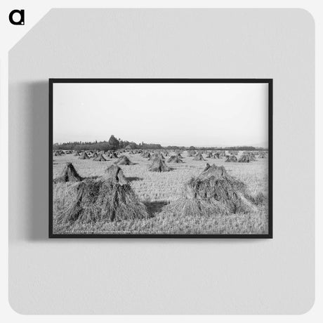 2-48_The-Burton-Brothers_blk-crop