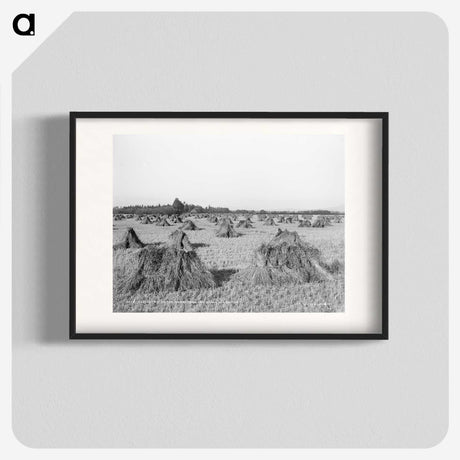 2-48_The-Burton-Brothers_blk