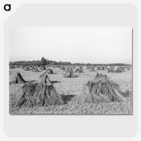 2-48_The-Burton-Brothers_picture-crop