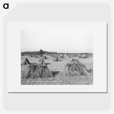 2-48_The-Burton-Brothers_picture