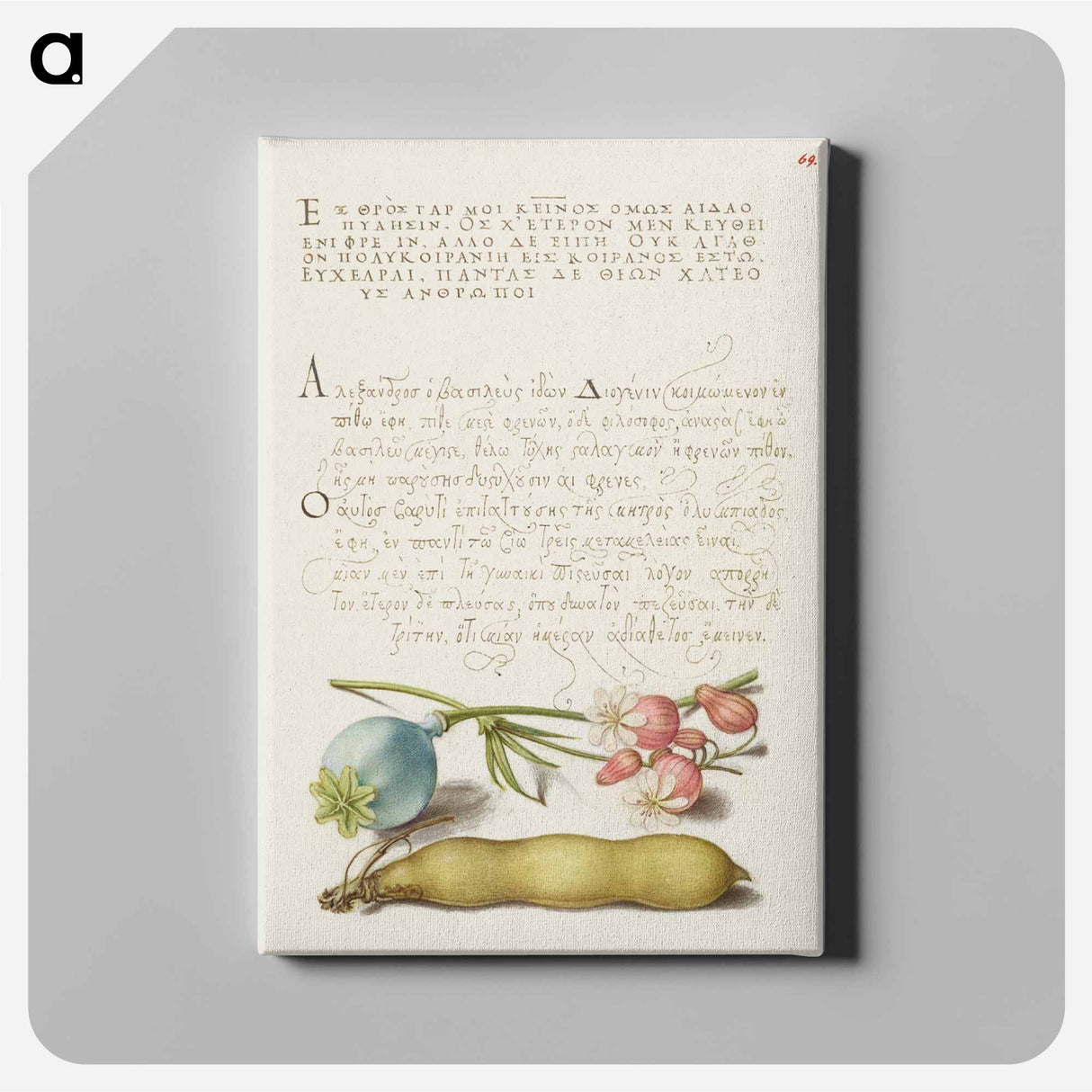 アートパネル-Opium Poppy, Bladder Campion, and Broad Bean from Mira Calligraphiae Monumenta
 - 書道のお手本 Canvas.