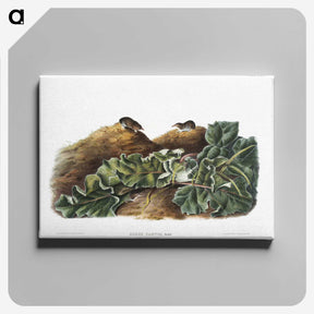 2-48_The-Viviparous-Quadrupeds_canvas