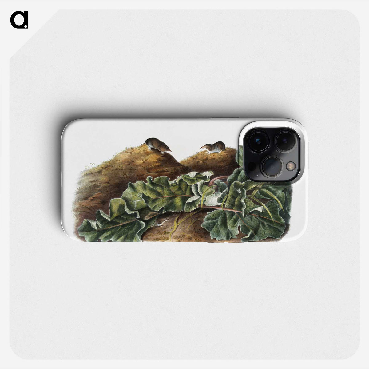 2-48_The-Viviparous-Quadrupeds_phone