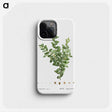 2-48_Treatise-on-Trees-and-Shrubs_phone