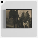 2-49_Alfred-Stieglitz_blk-crop