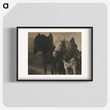 Horses during 20th century photo - アルフレッド スティーグリッツ Poster.