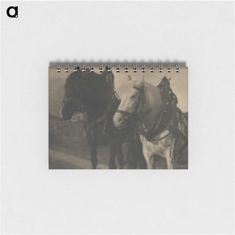 2-49_Alfred-Stieglitz_memo