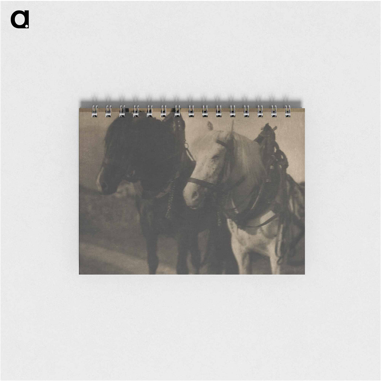 Horses during 20th century photo - アルフレッド スティーグリッツ Memo.