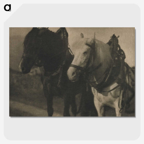 2-49_Alfred-Stieglitz_picture-crop