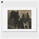 Horses during 20th century photo - アルフレッド スティーグリッツ Poster.