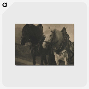 2-49_Alfred-Stieglitz_postcard