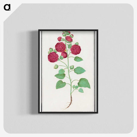 2-49_Anselmus-Boetius-de-Boodt_blk-crop