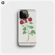 2-49_Anselmus-Boetius-de-Boodt_phone