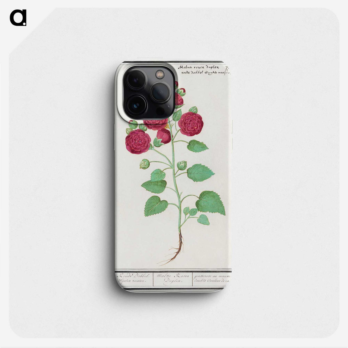 2-49_Anselmus-Boetius-de-Boodt_phone