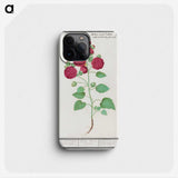 2-49_Anselmus-Boetius-de-Boodt_phone