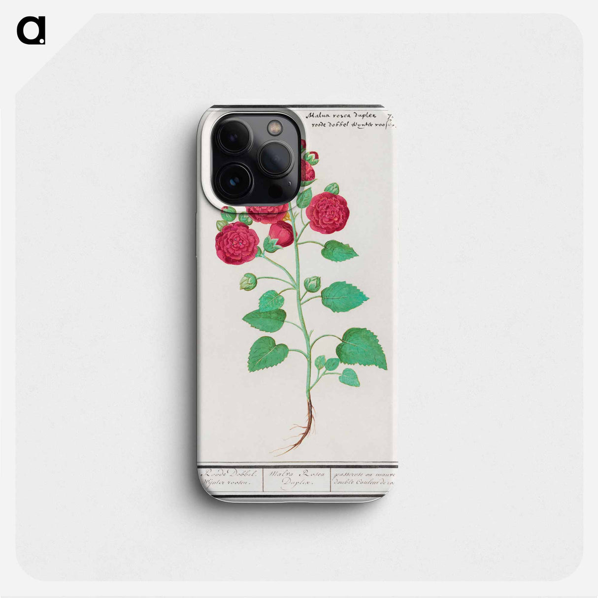 Hollyhock - アンセルムス ボエティウス デ ブート Phone Case.