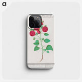 Hollyhock - アンセルムス ボエティウス デ ブート Phone Case.