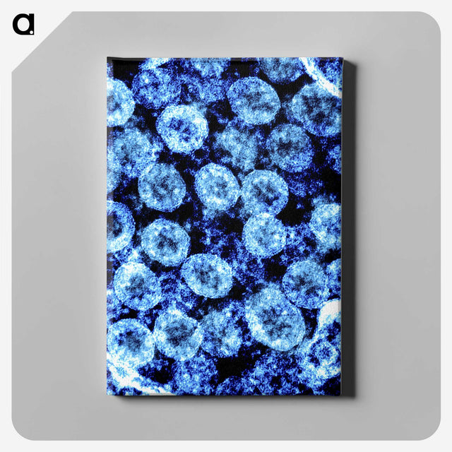 2-49_COVID-19_canvas