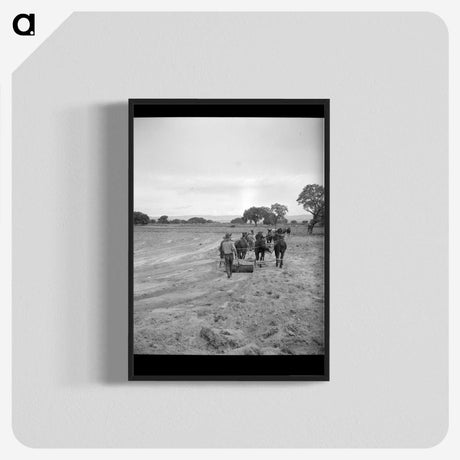 2-49_Dorothea-Lange_blk-crop