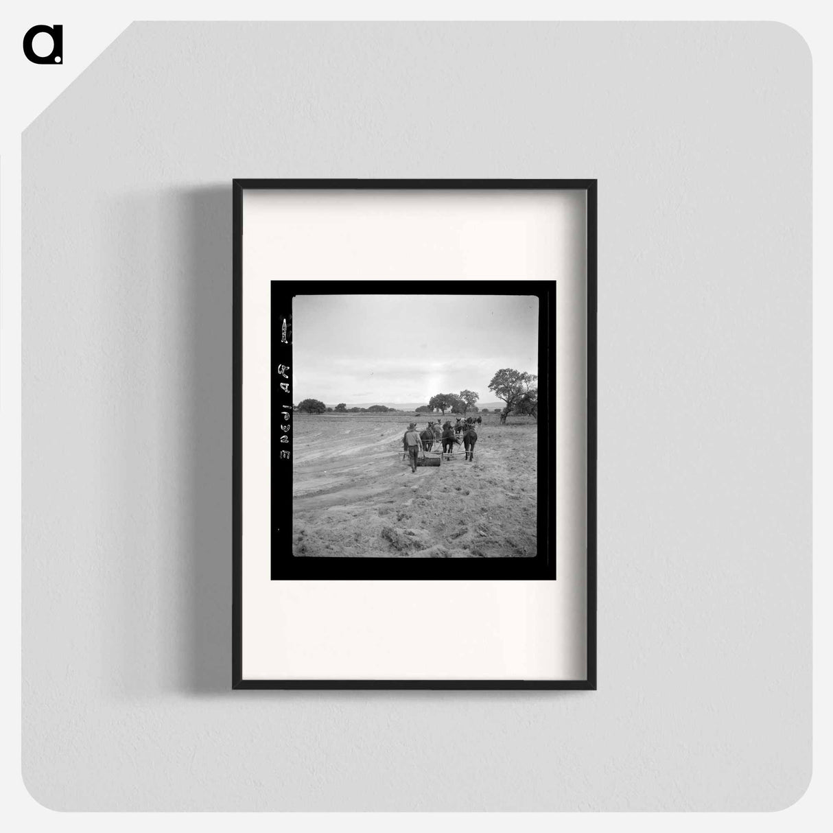 Leveling the land for irrigation on the Bosque Farms project - Dorothea Lange Poster.
