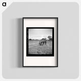 Leveling the land for irrigation on the Bosque Farms project - Dorothea Lange Poster.