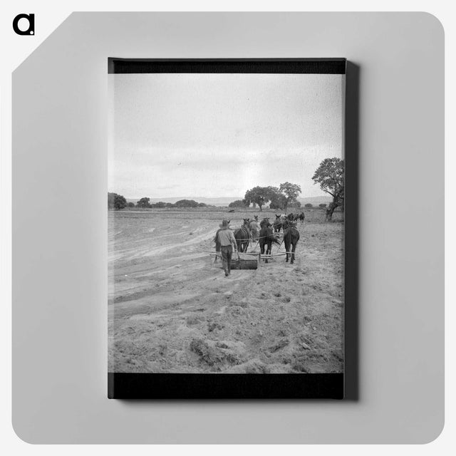 2-49_Dorothea-Lange_canvas