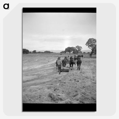 2-49_Dorothea-Lange_picture-crop