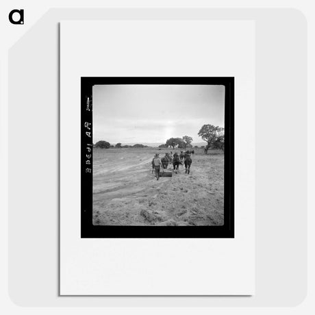 2-49_Dorothea-Lange_picture