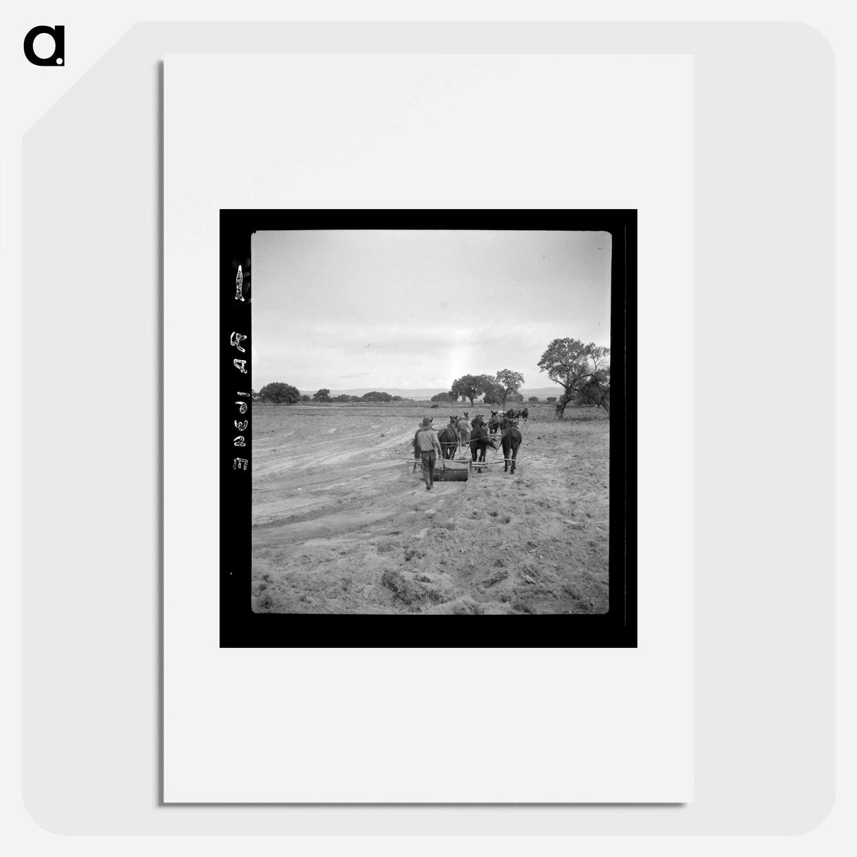 Leveling the land for irrigation on the Bosque Farms project - Dorothea Lange Poster.