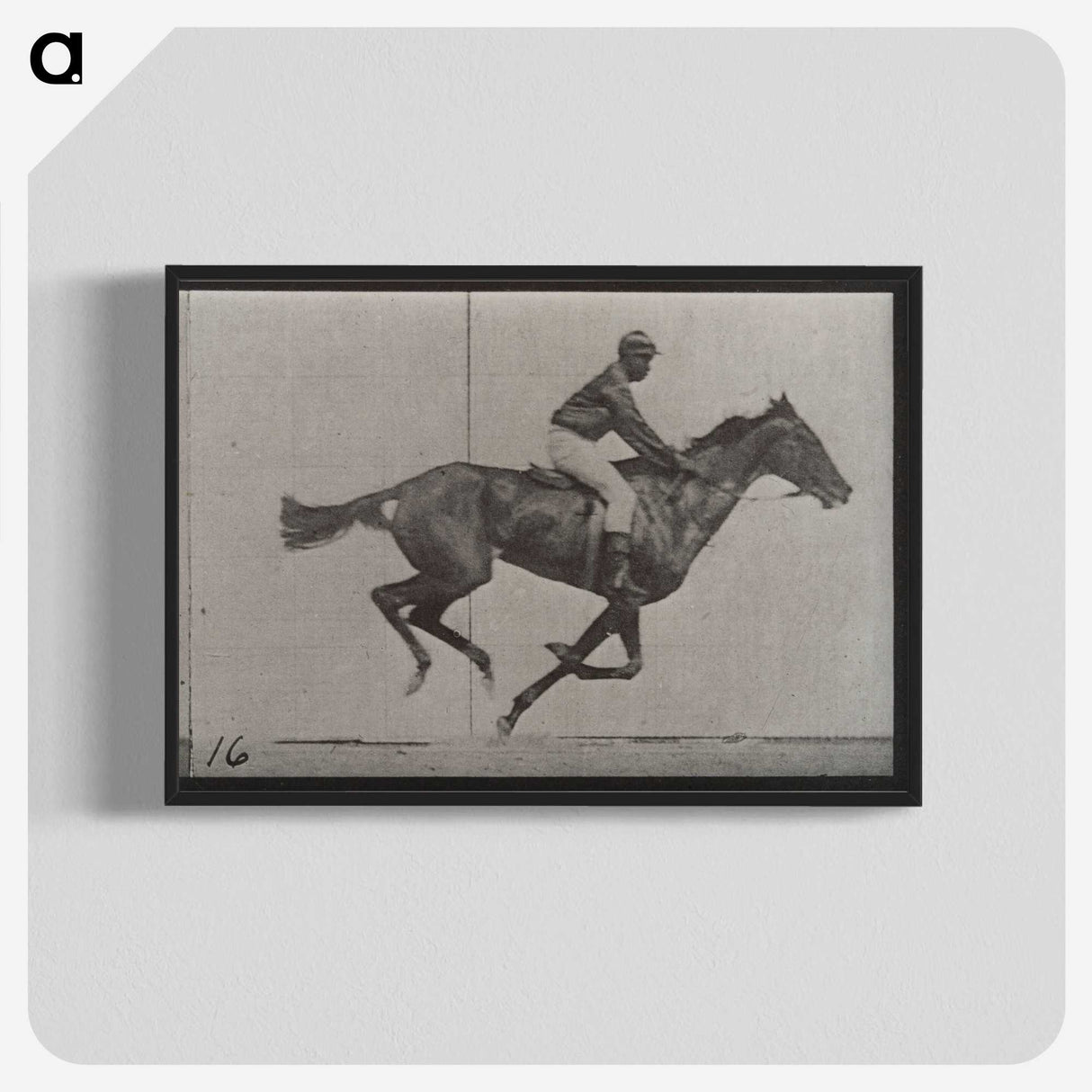 2-49_Eadweard-Muybridge_blk-crop