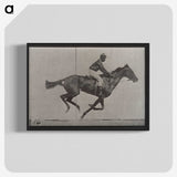 2-49_Eadweard-Muybridge_blk-crop