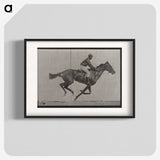 2-49_Eadweard-Muybridge_blk