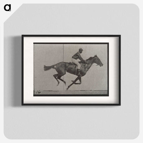 2-49_Eadweard-Muybridge_blk