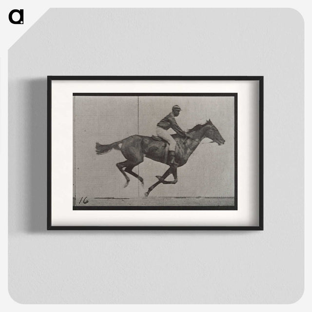 2-49_Eadweard-Muybridge_blk