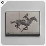 2-49_Eadweard-Muybridge_canvas