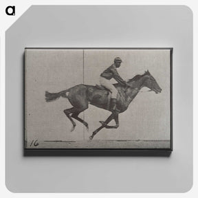 2-49_Eadweard-Muybridge_canvas