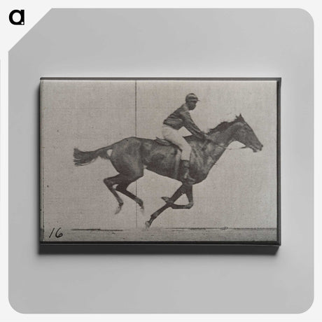 2-49_Eadweard-Muybridge_canvas