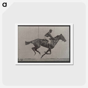 アートポストカード-Galloping Horse and Rider
 - エドワード マイブリッジ Postcard.