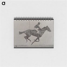 2-49_Eadweard-Muybridge_memo