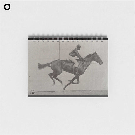2-49_Eadweard-Muybridge_memo