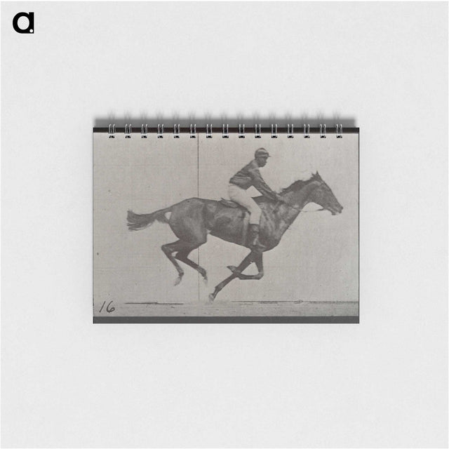 2-49_Eadweard-Muybridge_memo