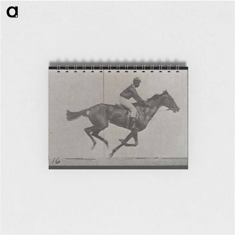 アートメモ帳-Galloping Horse and Rider
 - エドワード マイブリッジ Memo.