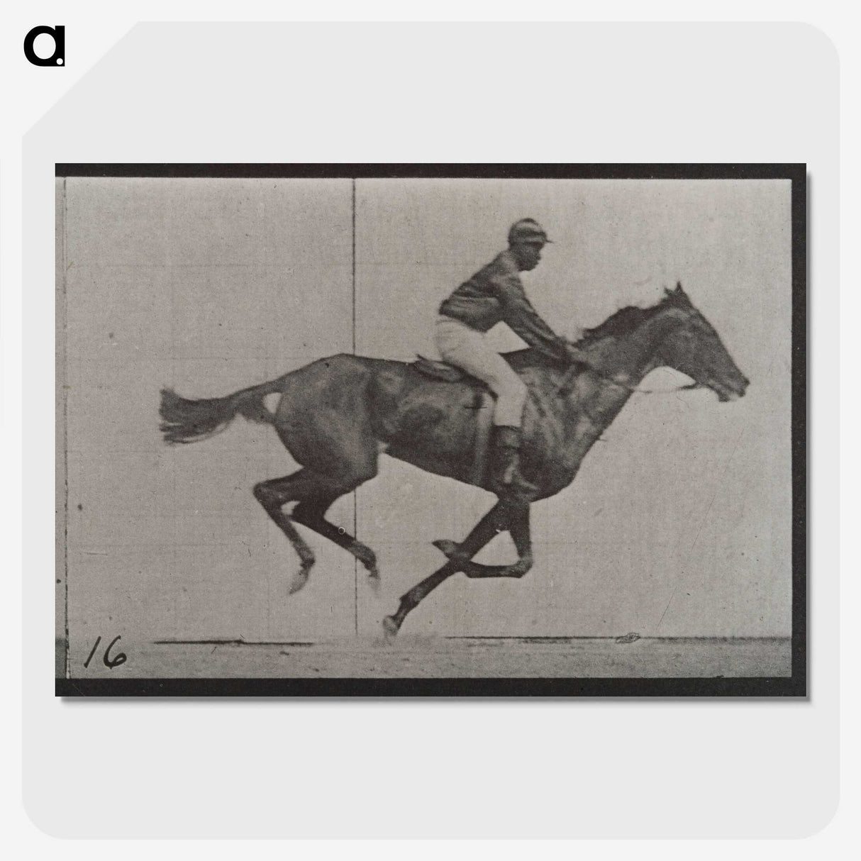 2-49_Eadweard-Muybridge_picture-crop