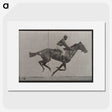 2-49_Eadweard-Muybridge_picture