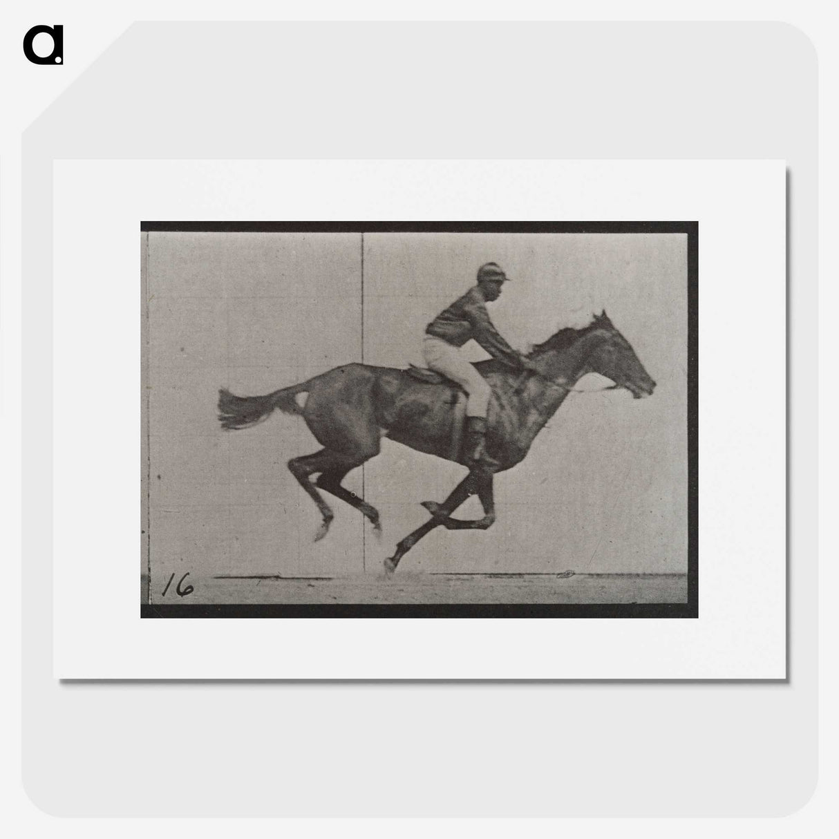 2-49_Eadweard-Muybridge_picture