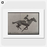 2-49_Eadweard-Muybridge_picture