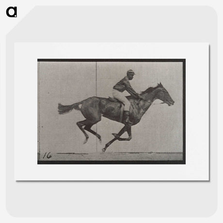 2-49_Eadweard-Muybridge_picture
