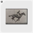 2-49_Eadweard-Muybridge_postcard