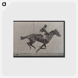 アートポストカード-Galloping Horse and Rider
 - エドワード マイブリッジ Postcard.